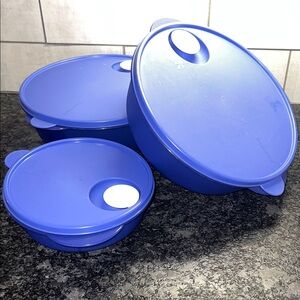Purple Microwave  Kitchen Storage Container Set of 3  crystal wave bowls w/lids